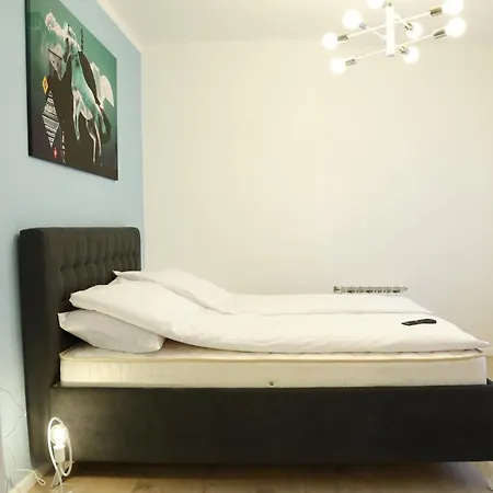 Blue And Rose Cozy - Quiet In The Location - Self Check-in - 5th Floor With Elevator Apartman Szarajevó